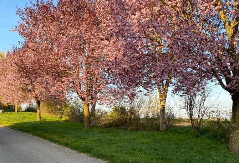 Gite A La Ferme - Confort & Nature Senouillac Exteriör bild